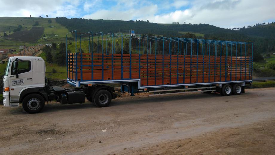 Transporte en Patineta de 2 ejes  en Talca, Maule, Chile